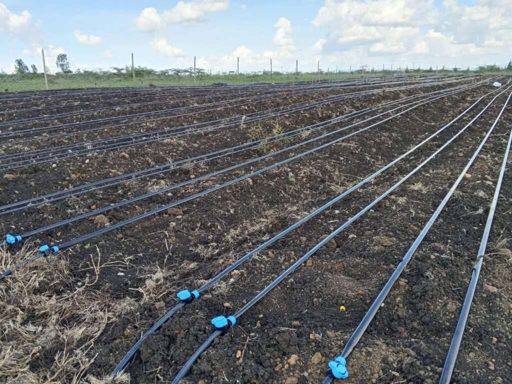drip irrigation kits