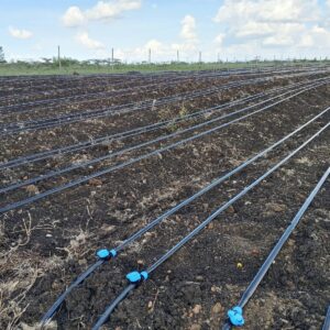 drip irrigation kits