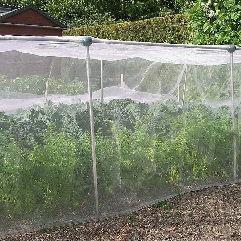 Insect Nets in Kenya