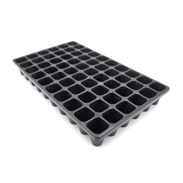 Seedling trays in Kenya