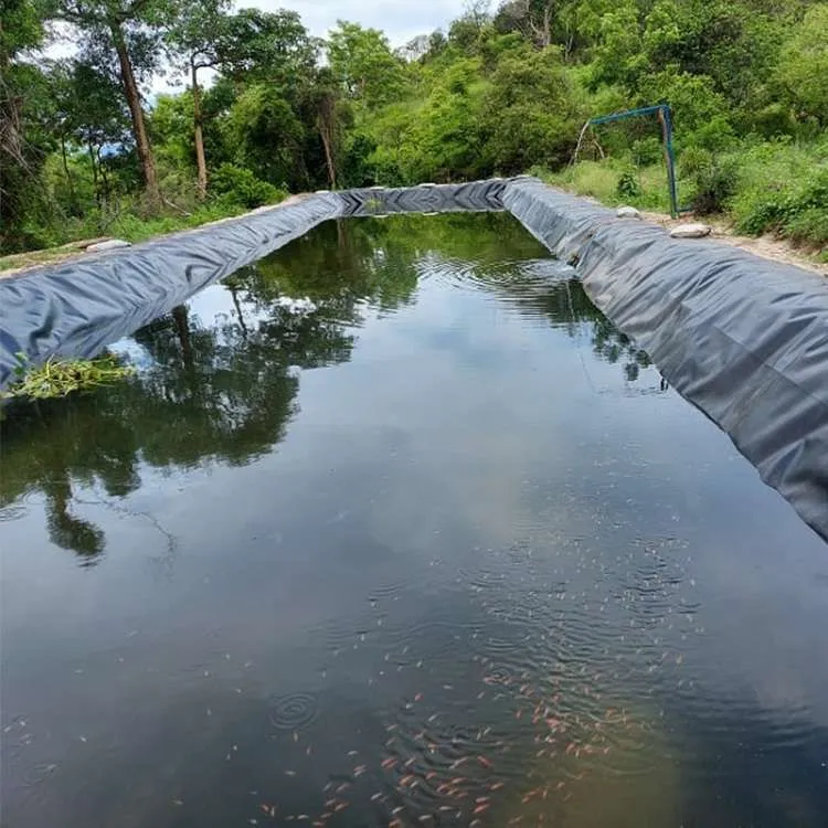 Fishpond liners in Kenya