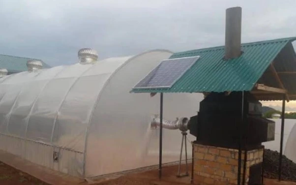 Solar dryers in Kenya
