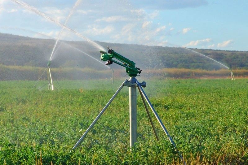 Rain Gun Sprinklers in Kenya