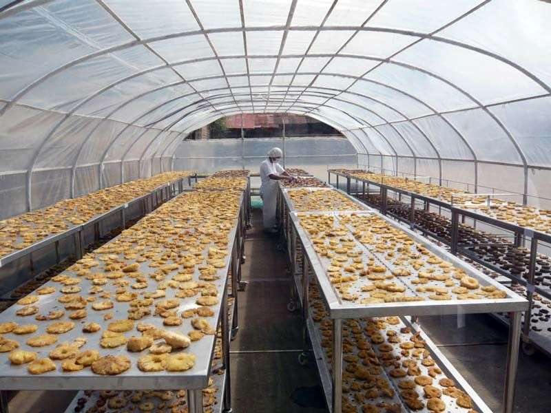 hybrid solar dryers in kenya