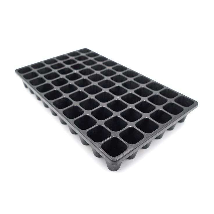 Propagation trays in Kenya
