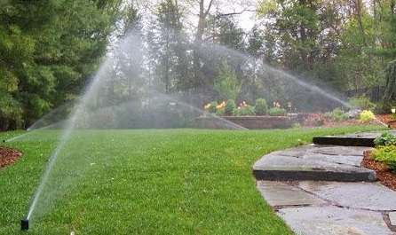 Pop-up Sprinklers in Kenya