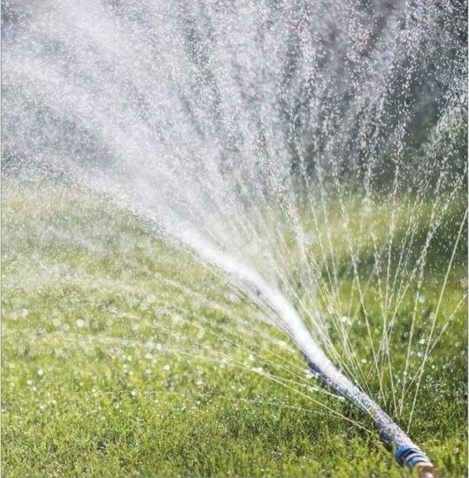 Rain Hose irrigation System in Kenya
