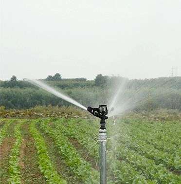 Sprinkler Irrigation in Kenya