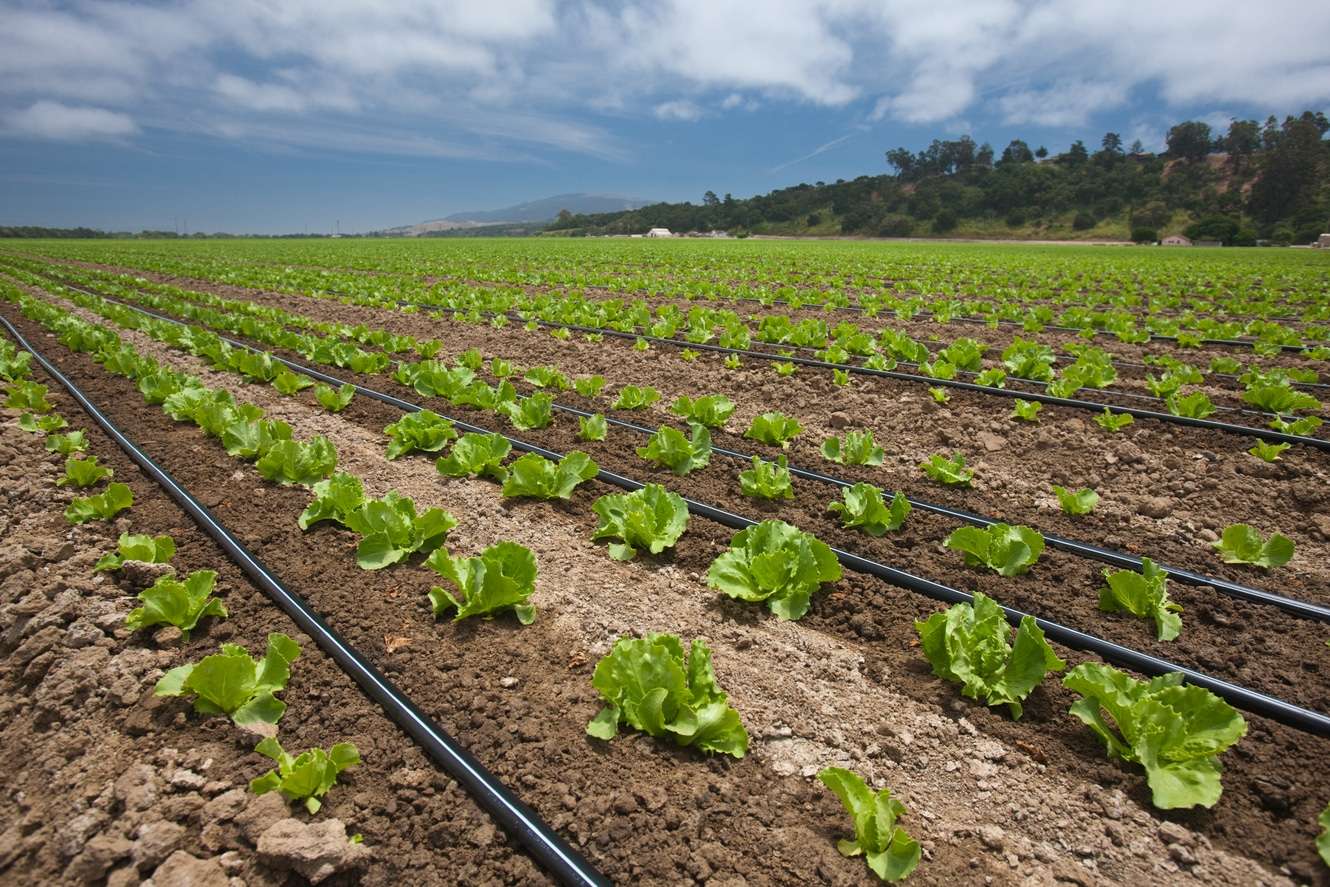 drip irrigation kit price in kenya
