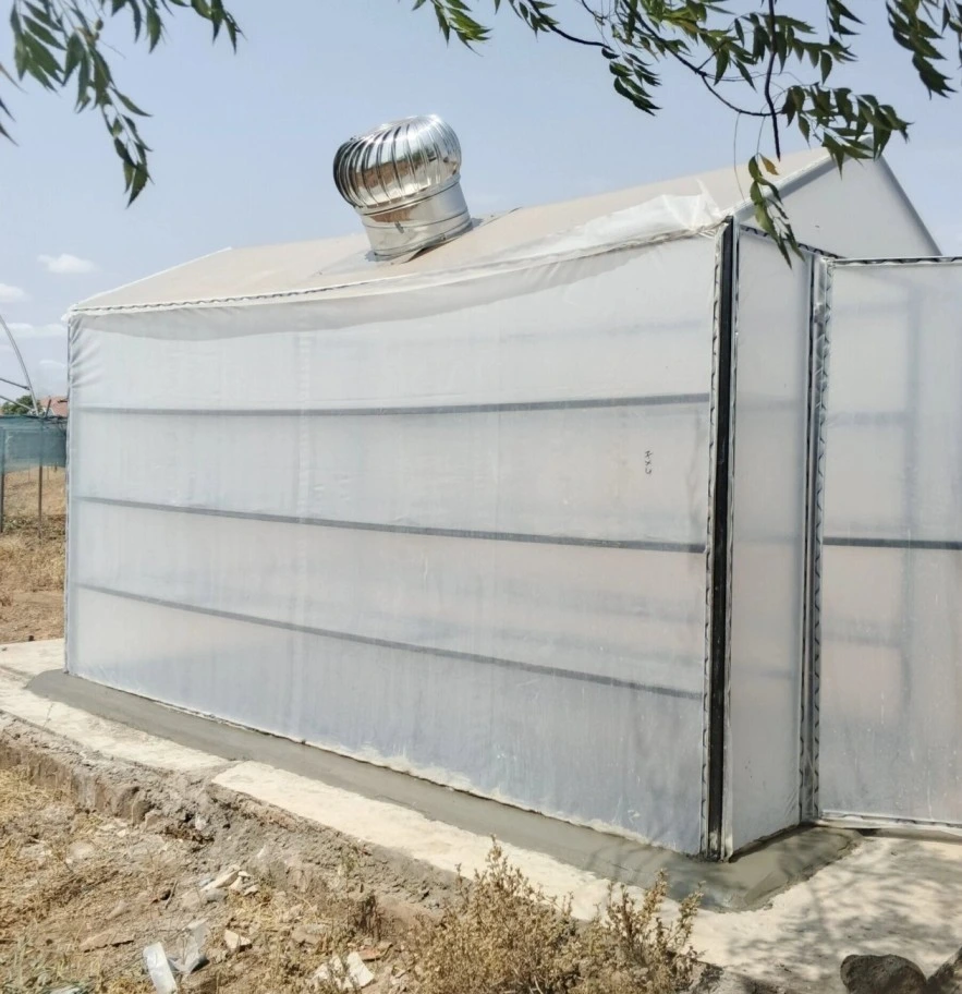 Solar dryers for agriculture in Kenya