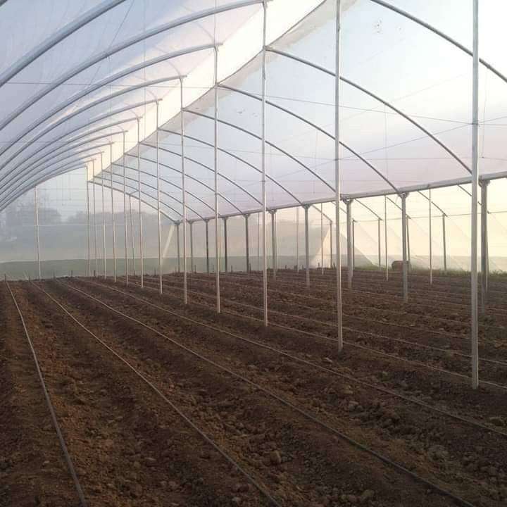 greenhouse prices in Kenya