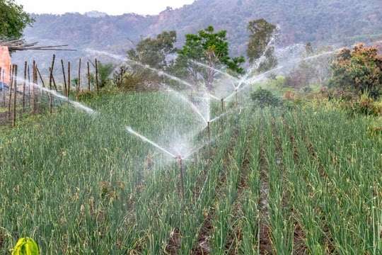 Sprinkler irrigation system in kenya