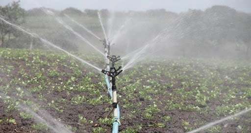 Sprinkler irrigation system in kenya